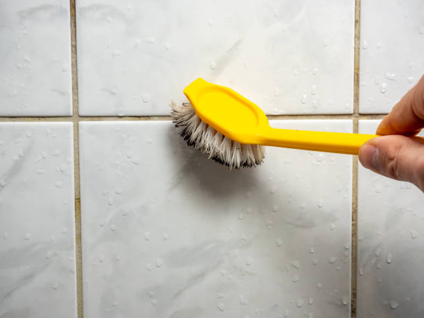 Office Mold Removal Services in Dover Beaches South, NJ