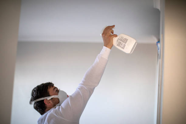 Best Toxic Mold Removal  in Dover Beaches South, NJ